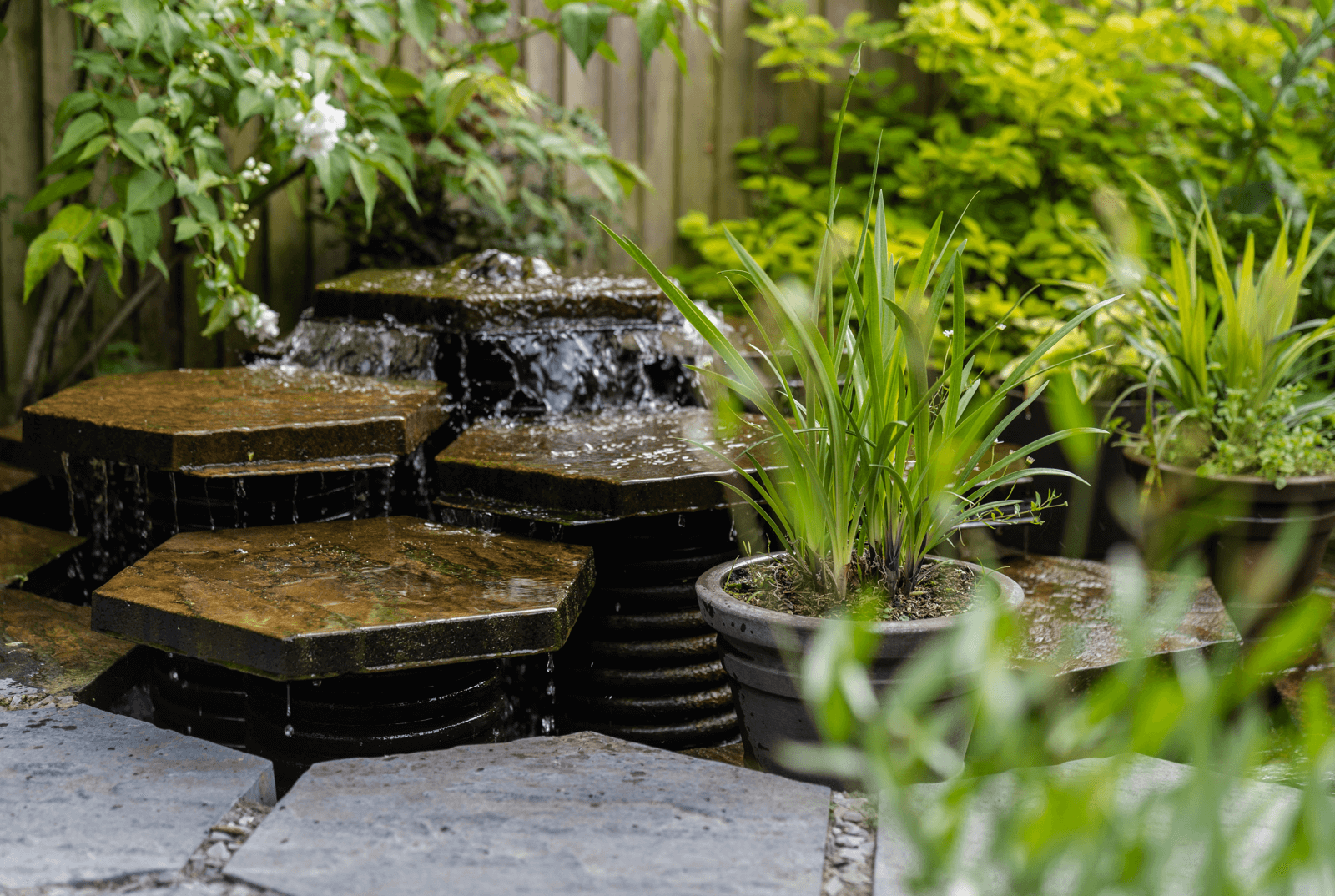 Water fountain in garden design and architecture
